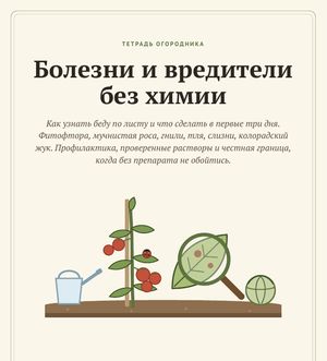 Обложка гайда «Болезни и вредители без химии»