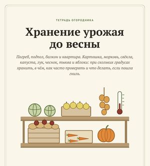 Обложка гайда «Хранение урожая до весны»