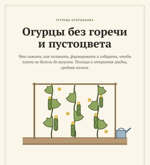 Обложка гайда «Огурцы без горечи и пустоцвета»