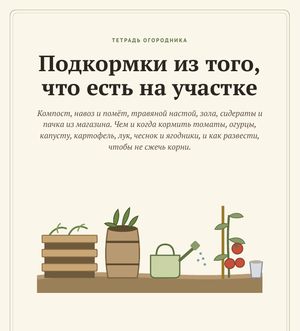 Обложка гайда «Подкормки из того, что есть на участке»