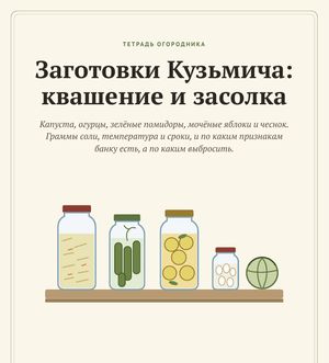 Обложка гайда «Заготовки Кузьмича: квашение и засолка»