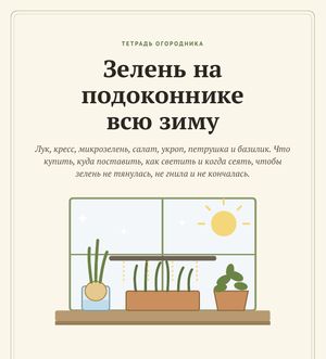 Обложка гайда «Зелень на подоконнике всю зиму»